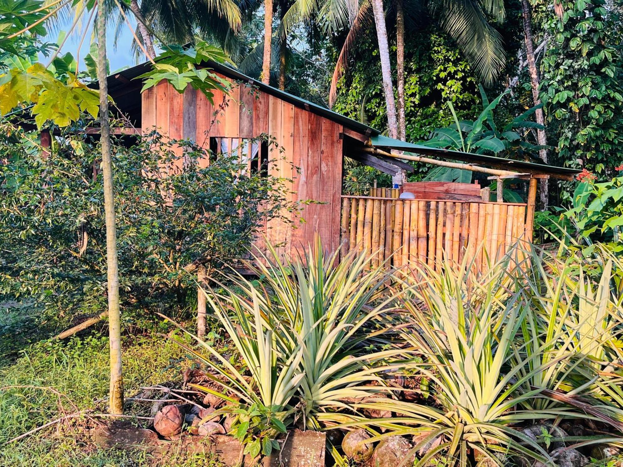 Villa El retoño del negro gozon Nuquí Habitación foto